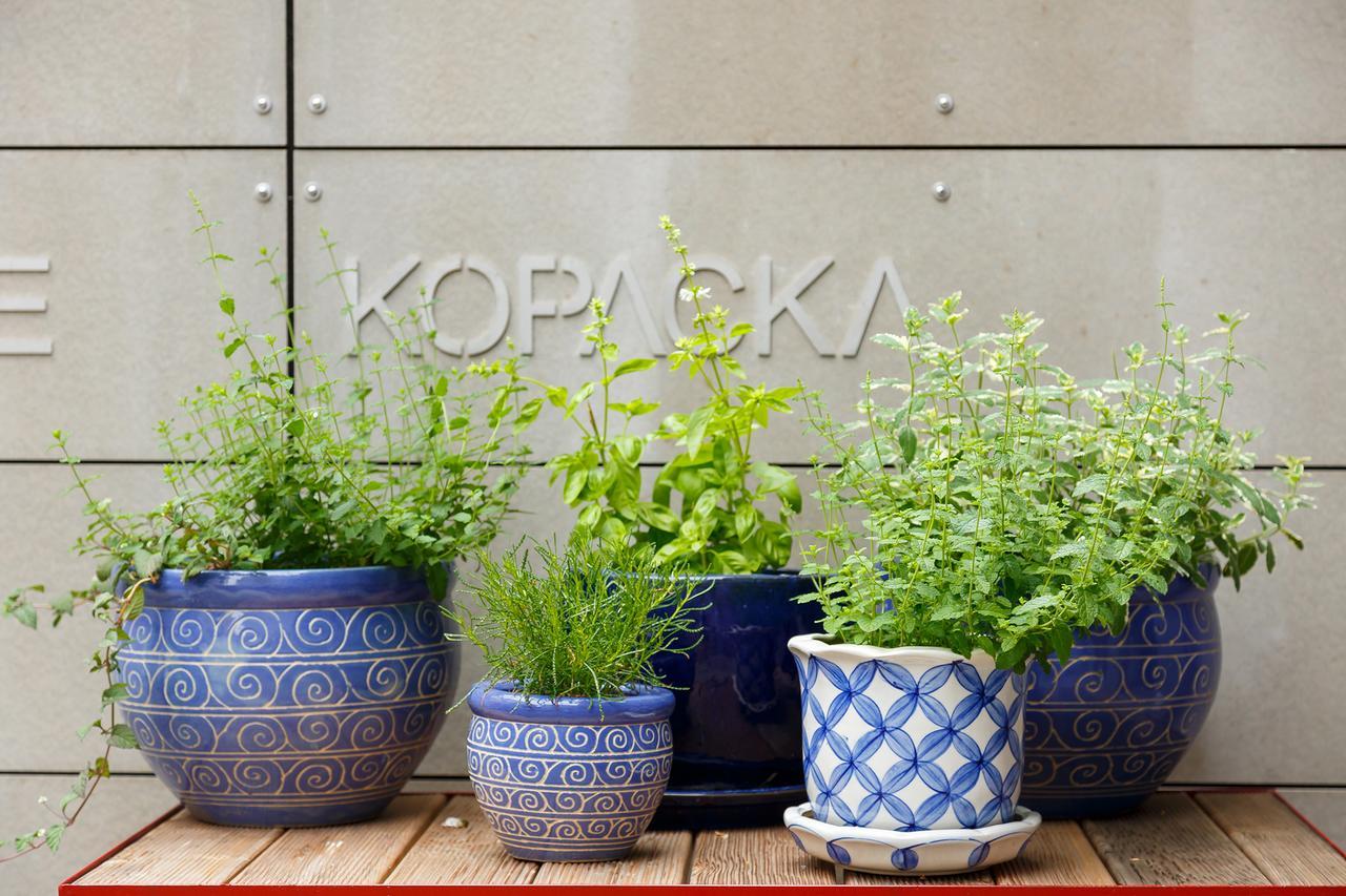 Hotel&Depandance Kopacka Lanskroun Bagian luar foto
